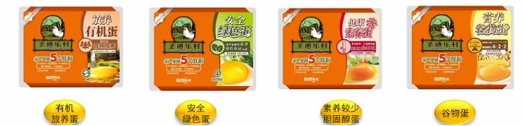 圣迪乐村品牌战略