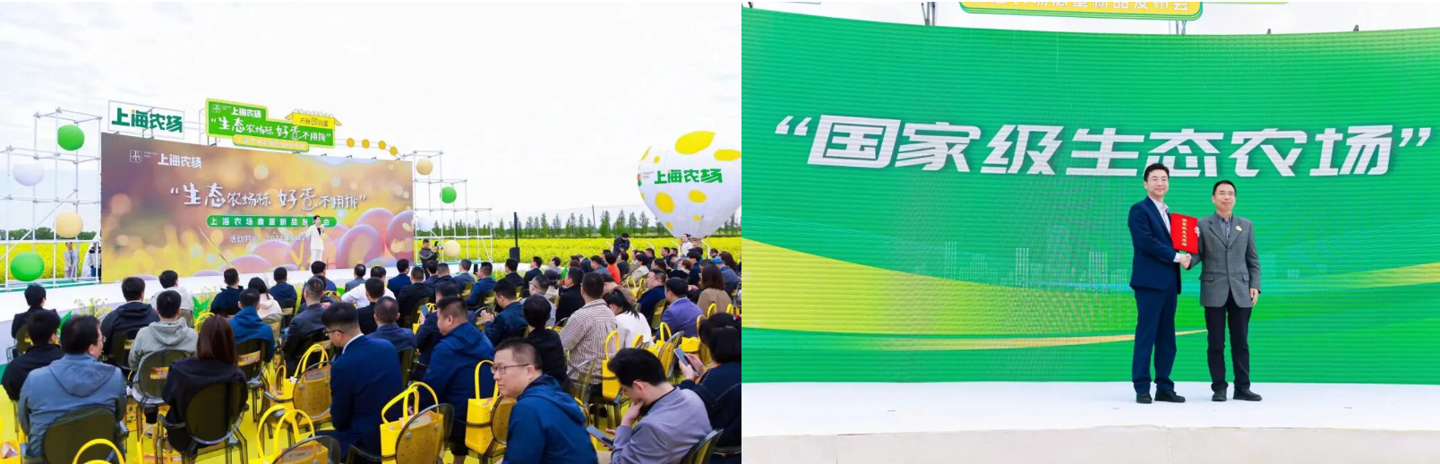 上海农场：场景占领助力实现品牌蛋上海第一