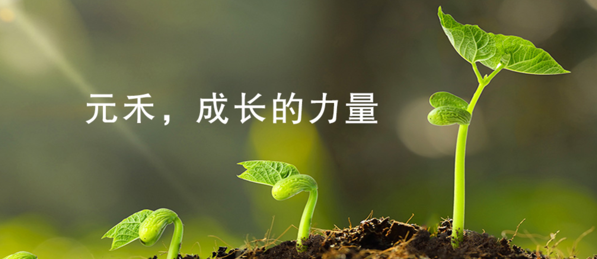 以品牌引领地方金融企业统一员工理念,布局战略业务