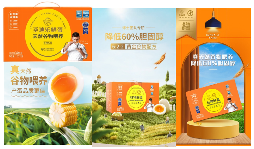 圣迪乐村品牌战略