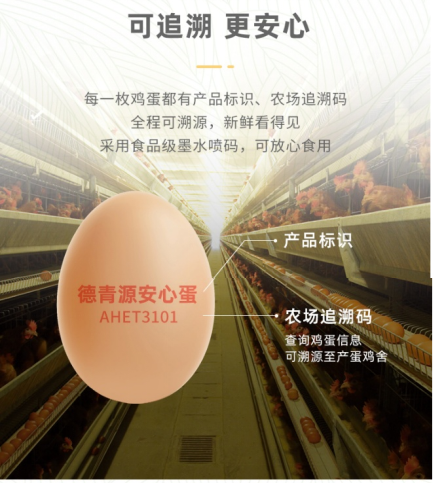 德青源：场景占领助力实现可持续增长