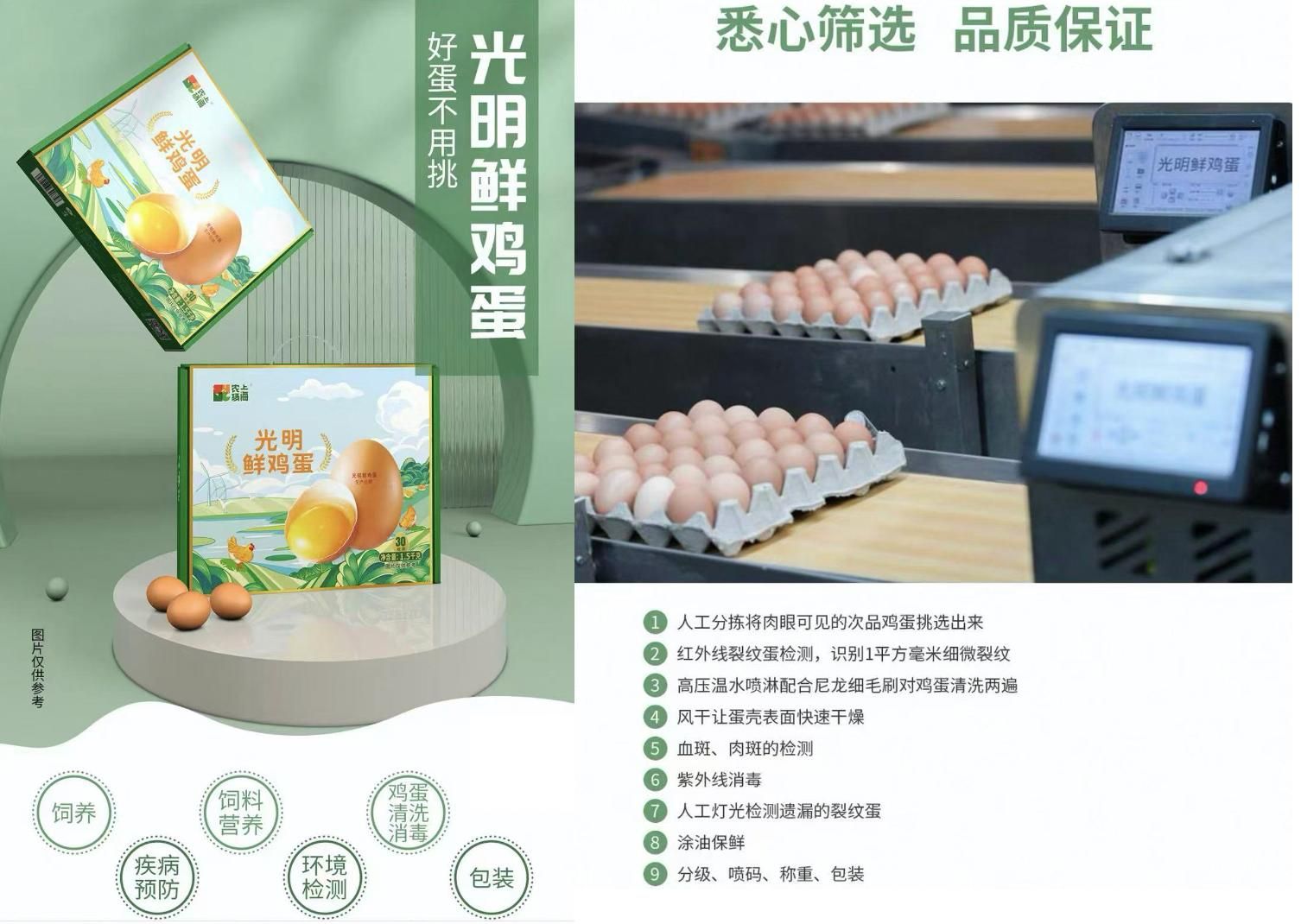 上海农场：场景占领助力实现品牌蛋上海第一