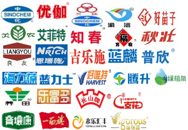 中化化肥:梳理央企核心业务品牌资产,助力业务聚力增长