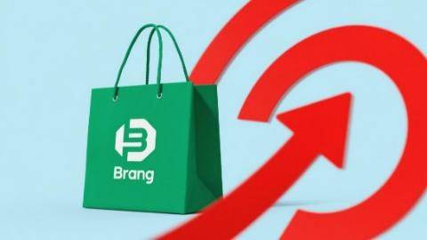 企业增长困境与解困原理——迈迪品牌增长战略的破局逻辑