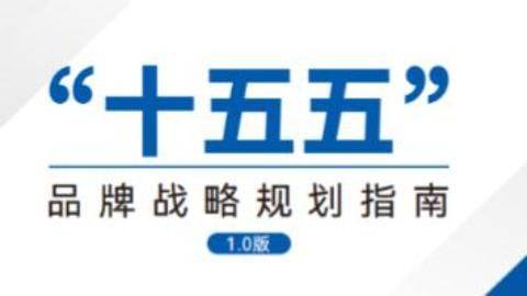 "十五五"<em>品牌战略</em>规划指南：如何让<em>品牌战略</em>真正驱动业务增长