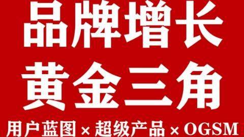 品牌增长战略的黄金三角：<em>用户</em>蓝图×超级产品×OGSM体系