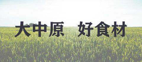 <em>大</em>中原，好食材 | 河南食品转型之路在何方？