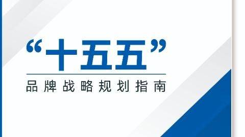 "十五五"品牌战略规划系列文章（一）